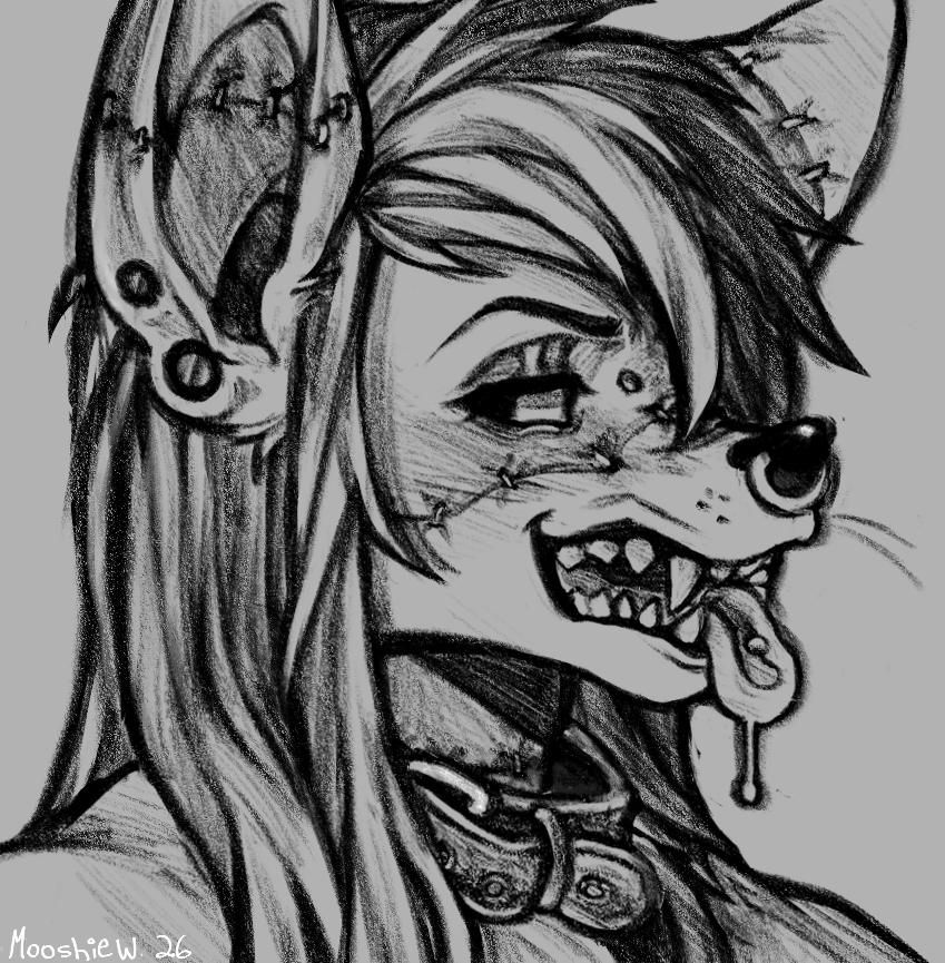 Shark lady tweet media