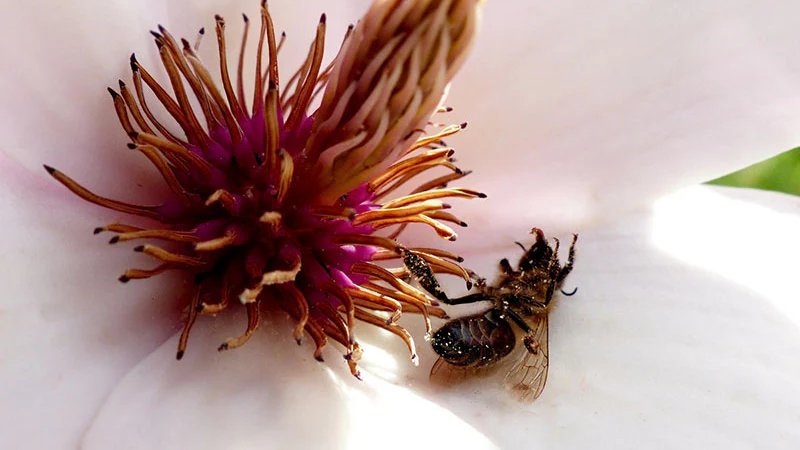Give A Shit About Nature tweet media