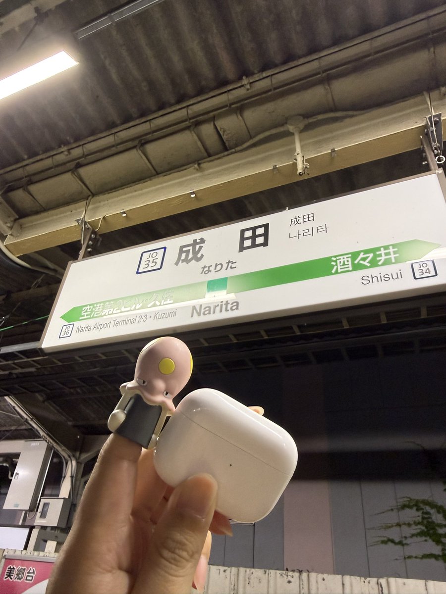ぐしぽん🍇 tweet media
