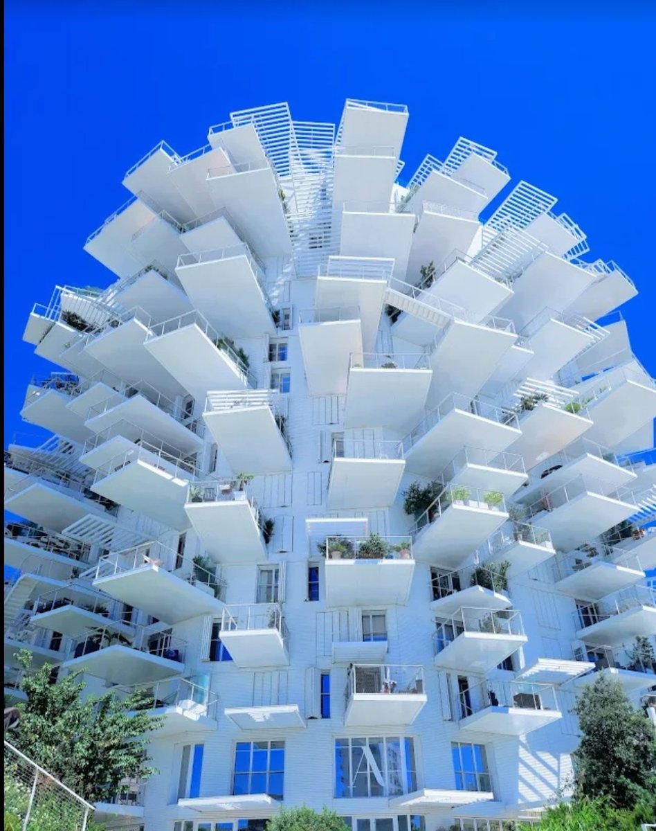 Sou Fujimoto 藤本壮介 (@soufujimoto) / Posts / X Sou Fujimoto 藤本壮介 (@soufujimoto) / Posts / X