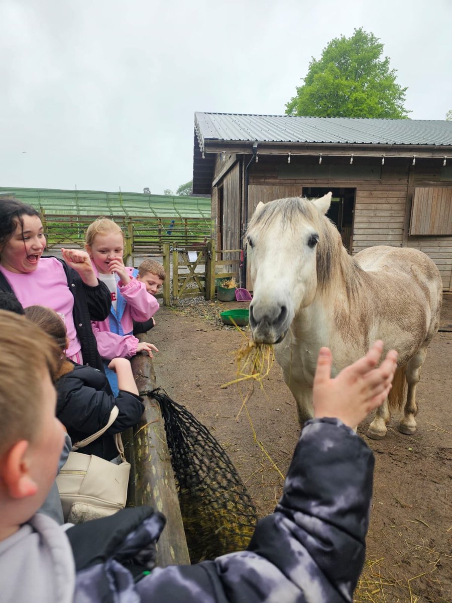 St Constantine’s Primary & Nursery Class tweet media