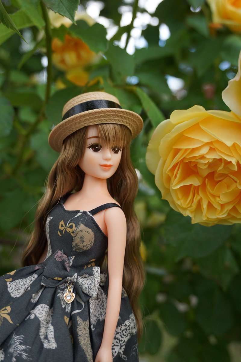shisyamo_nigate's tweet photo. ⋆ ࣪˖🥀˖ ࣪⭑💛
marin様【@panicbunny_doll 】のCat dressをリサに着てもらいバラ園に行ってきました🐈‍⬛
いい香りと綺麗なバラと可愛いリサで癒された日🫧✨
#ジェニーフレンドリサ https://t.co/kjeTTXofAt