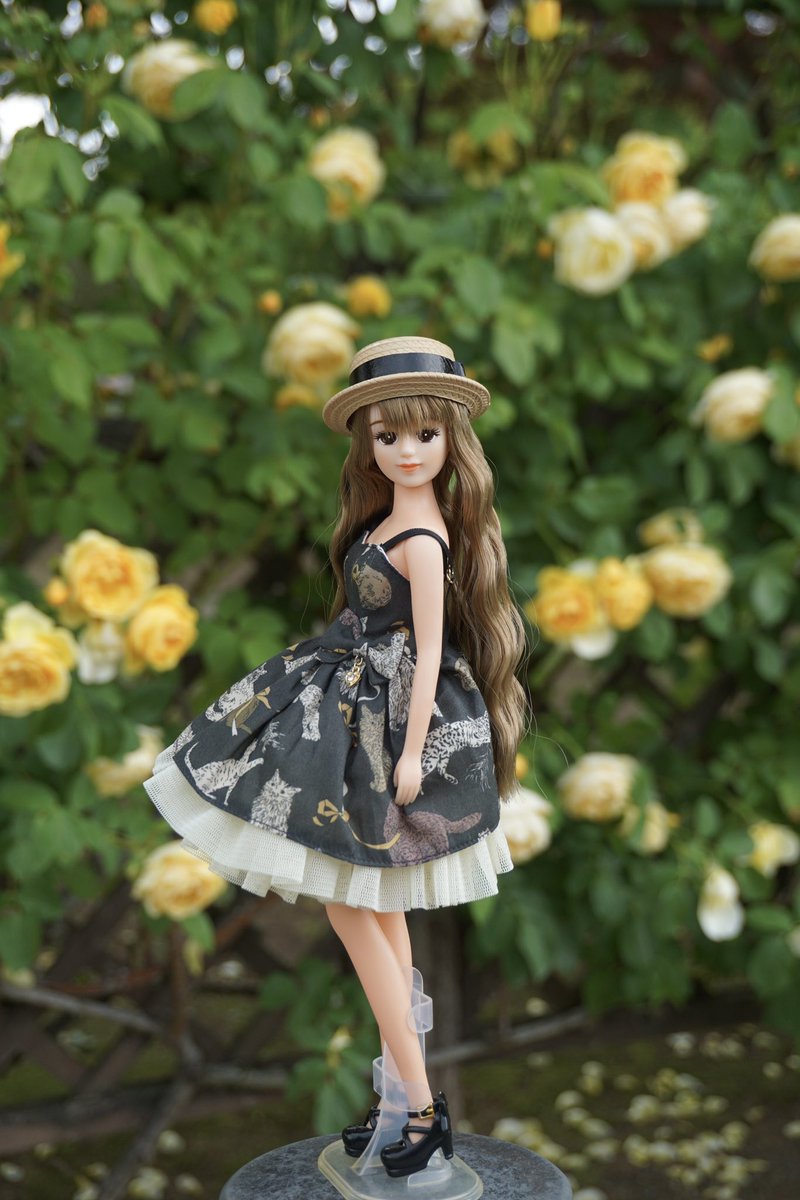 shisyamo_nigate's tweet photo. ⋆ ࣪˖🥀˖ ࣪⭑💛
marin様【@panicbunny_doll 】のCat dressをリサに着てもらいバラ園に行ってきました🐈‍⬛
いい香りと綺麗なバラと可愛いリサで癒された日🫧✨
#ジェニーフレンドリサ https://t.co/kjeTTXofAt