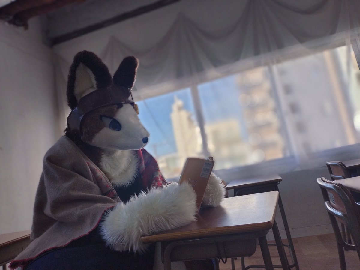🔧ツール🧰 tweet media