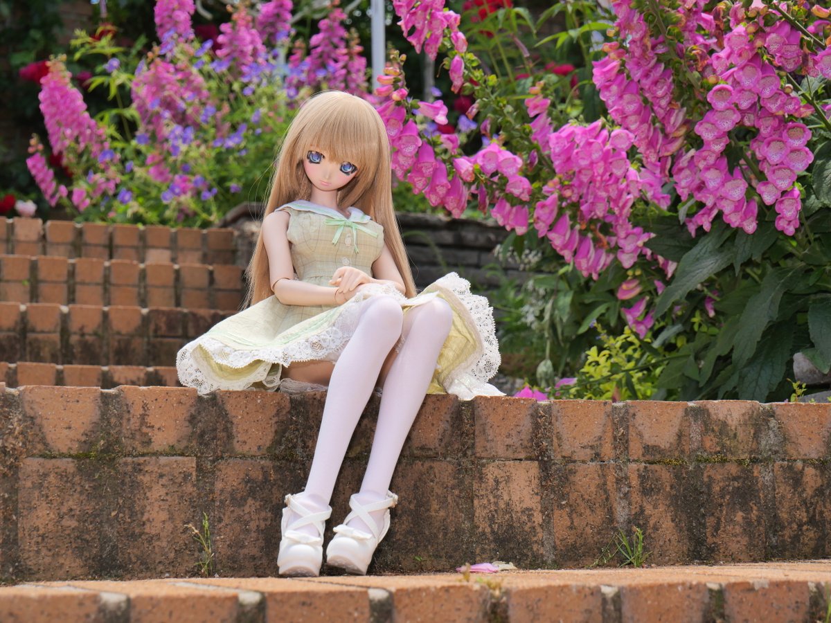 Tka@レッツフォトなので tweet media
