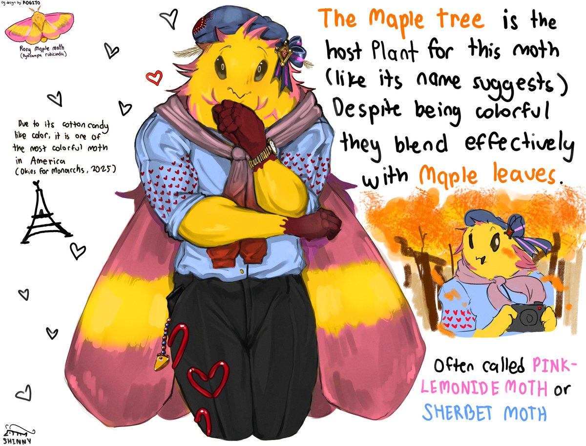 Shrimpmoth Dhh Shinny Shinnyshrimp Posts X 