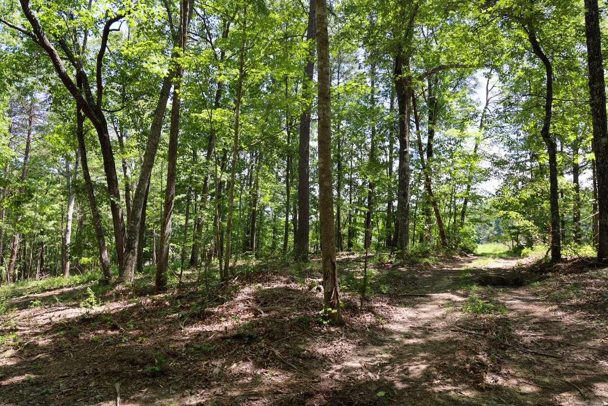 rivergorgeranch's tweet photo. Yet another spacious property available in River Gorge Ranch! Located in the Overlook, Lot 2446 resides at an 3.58 acres of Tennessee mountain land! Just a short drive from a future amenity center, that we have already cleared out the land for! A cul-de-sac property featuring a draw for natural privacy, and all the space you would need for the accessory buildings you dream of!
Curious about our other interior homesites? Use the link below to get our sales map and talk to a Land Specialist! Hope to see you soon!
https://t.co/BbdKr5PYMf