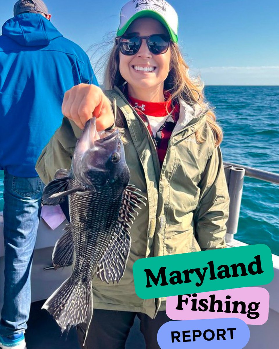 MD Fishing & Boating tweet media
