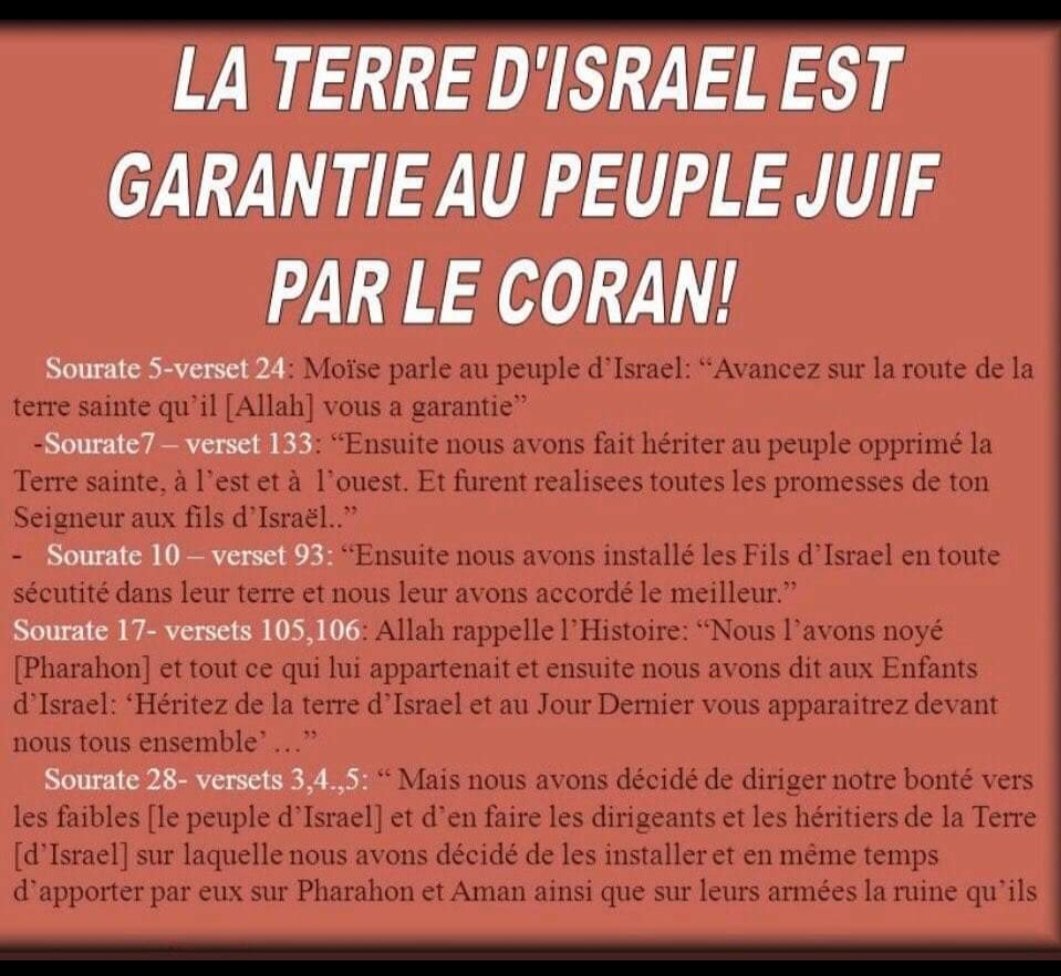 Angelo Rinaldi 🇮🇱 🇮🇱 🇫🇷 tweet media