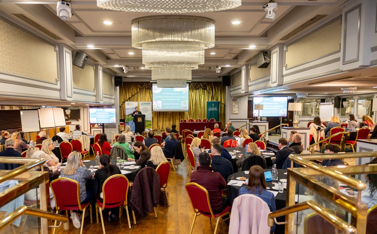 CAP Network Ireland tweet media