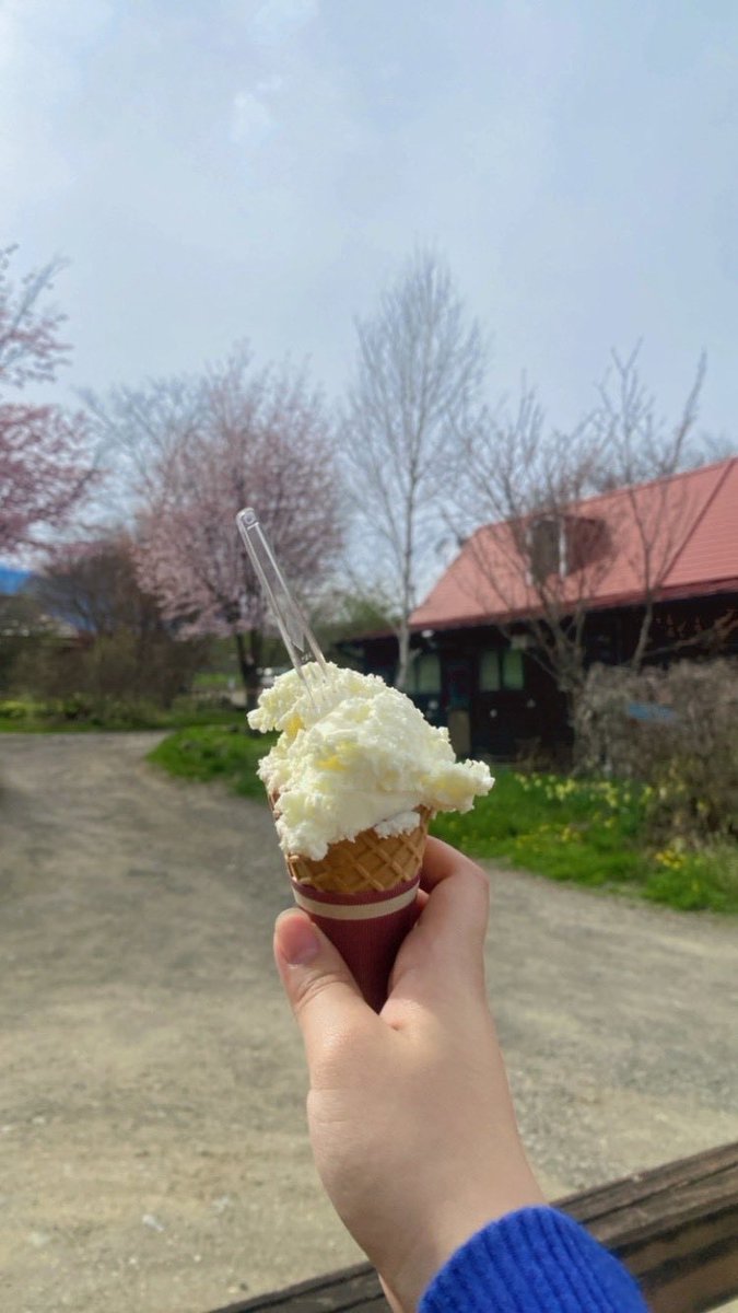 NoeFujito's tweet photo. 〜充電中〜
牧場のジェラート🐄
クリームチーズ味
おいしすぎた😋また食べたい

＃松竹エンタテインメント　＃藤戸野絵
＃滝沢牧場　＃ジェラート　＃クリームチーズ https://t.co/V2AC3IjXS7