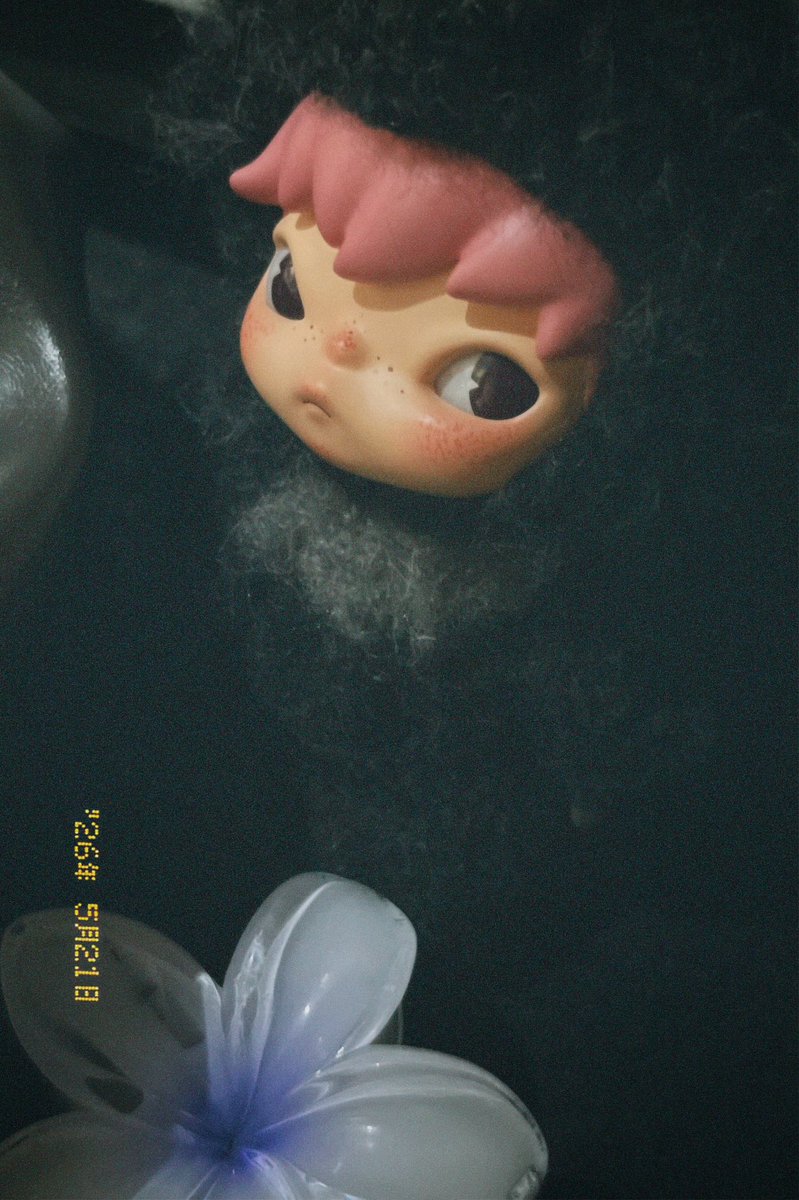 sera🧸💖 tweet media