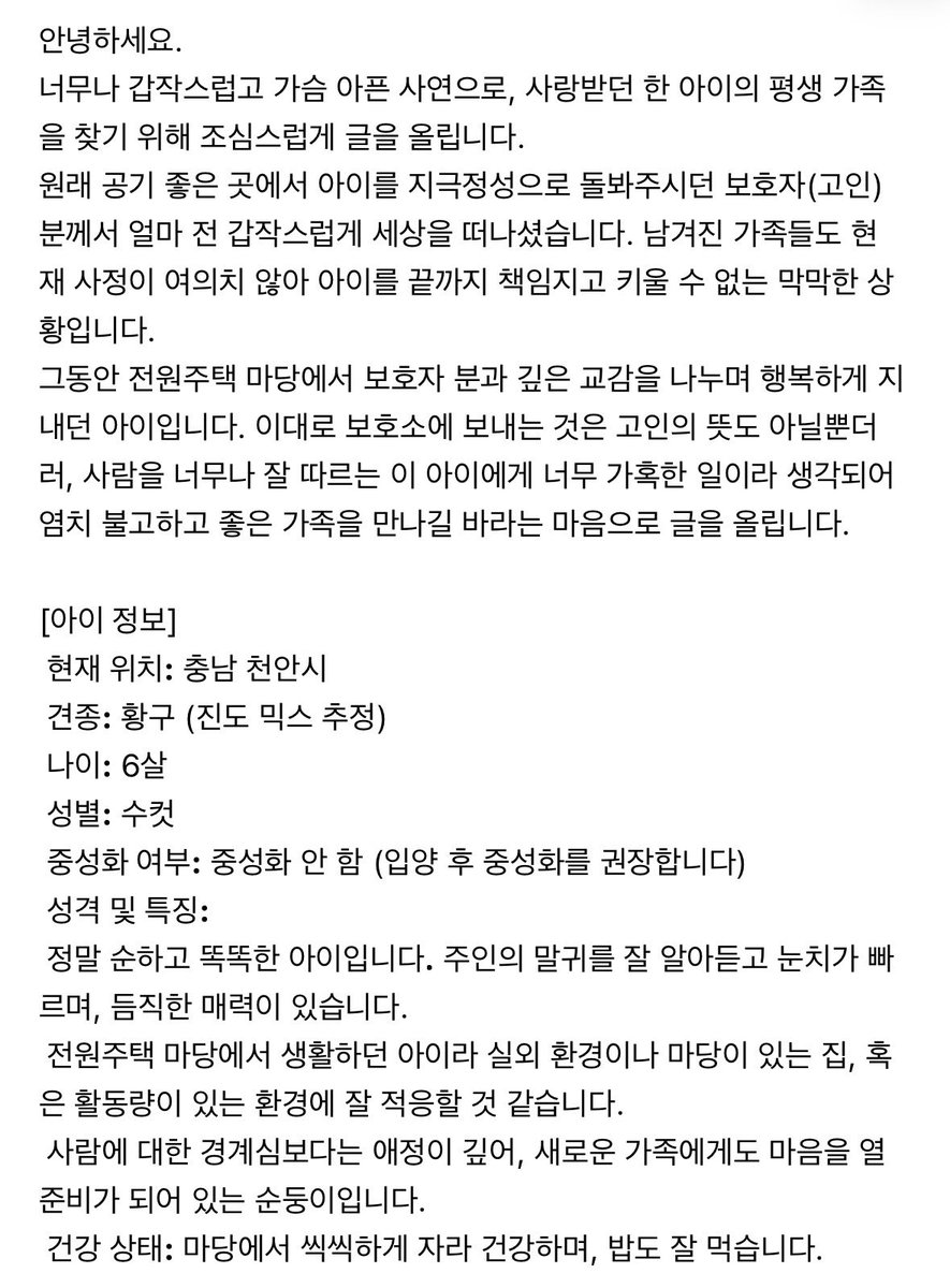 darkydduru's tweet photo. 친구 아버지가 갑자기 돌아가시면서 혼자 남은 황구가 빈 집을 지키고 있어요 ㅠ 옆집에서 밥을 주시고는 있지만.. 거처가 필요한 상황입니다!! https://t.co/jYL2uBaFNL