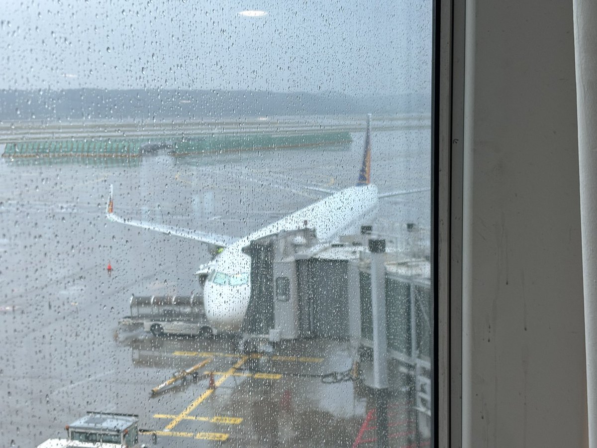 aka_ikura's tweet photo. フィリピン航空、定刻の35分前にゲートクローズと言われて「そんなアホな」と思いつつ40分前に着いたら急かされて定刻20分前にタキシング始めたの強すぎ https://t.co/dr84lbFSP6