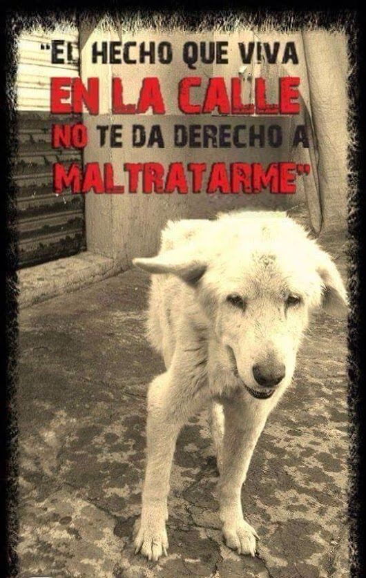 JulietaRodrigue's tweet photo. https://t.co/kCIPH8Frde