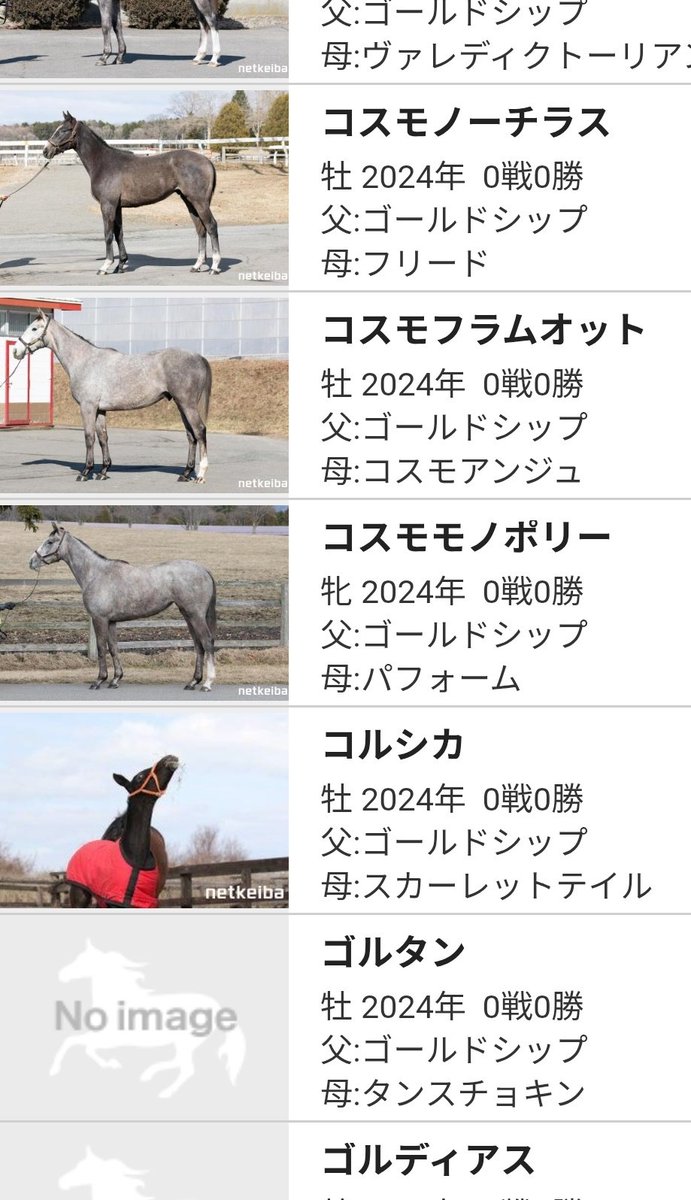 かりん🐴うまあか tweet media