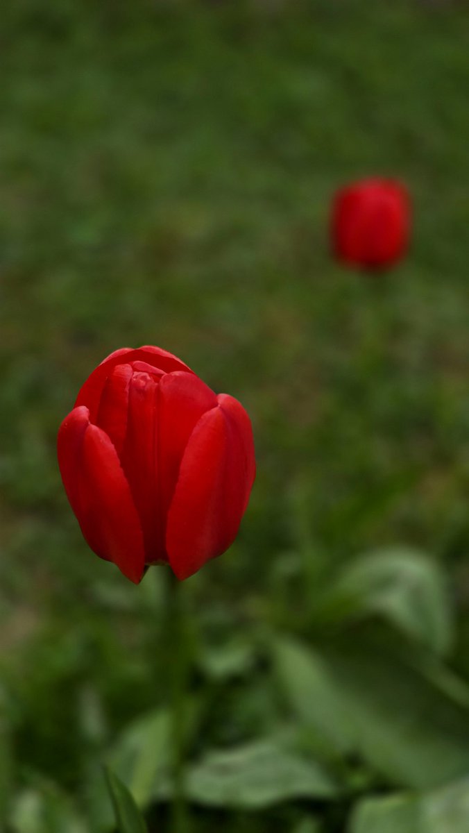 AdeelED's tweet photo. About a spring Thursday https://t.co/76fsNkZhFj