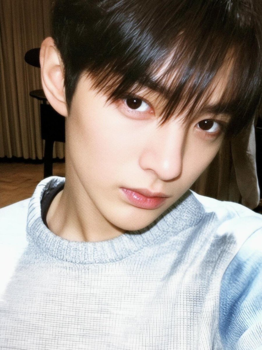 디.. tweet media