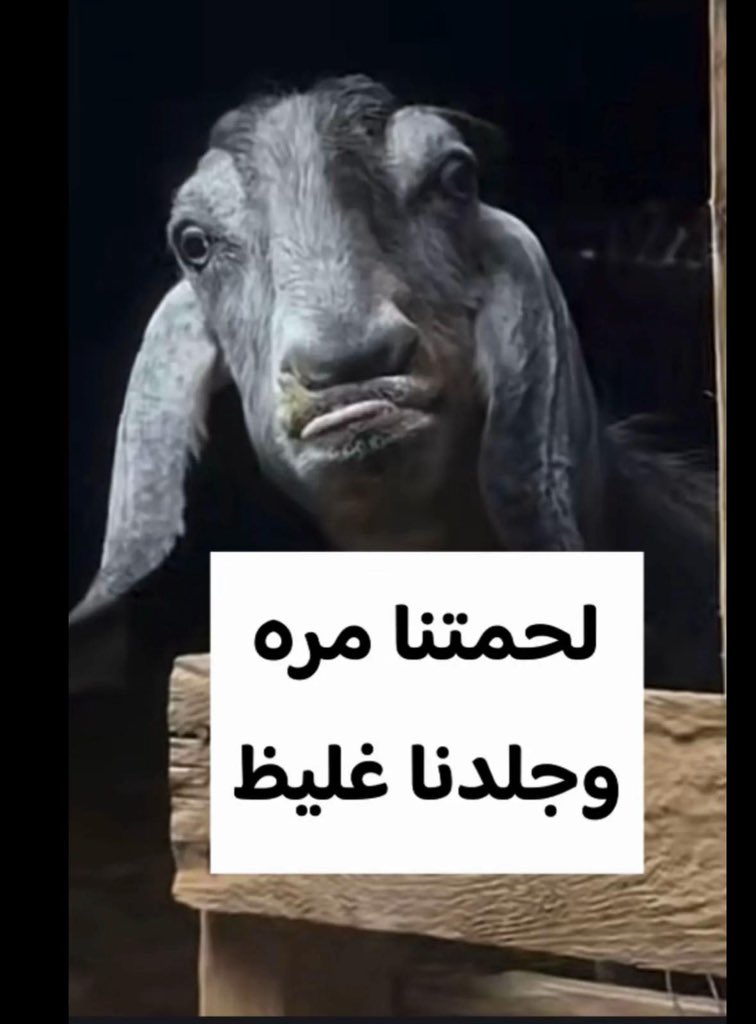 🇸🇦abo Ahmed🇸🇦 tweet media