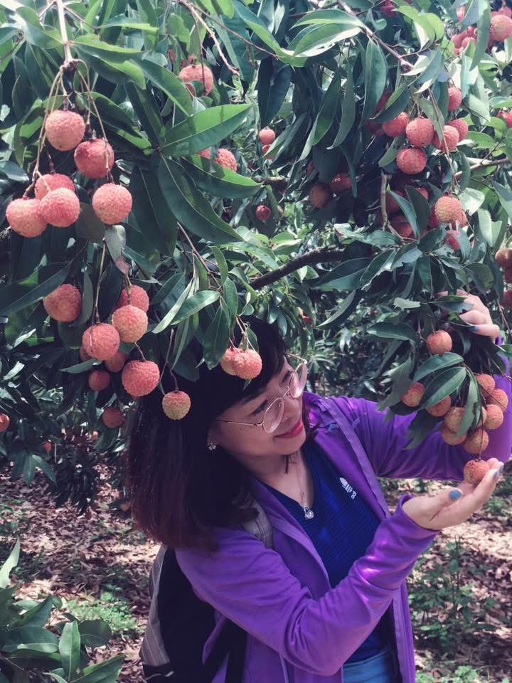 Nguyễn Phương Thùy | Harmony tweet media