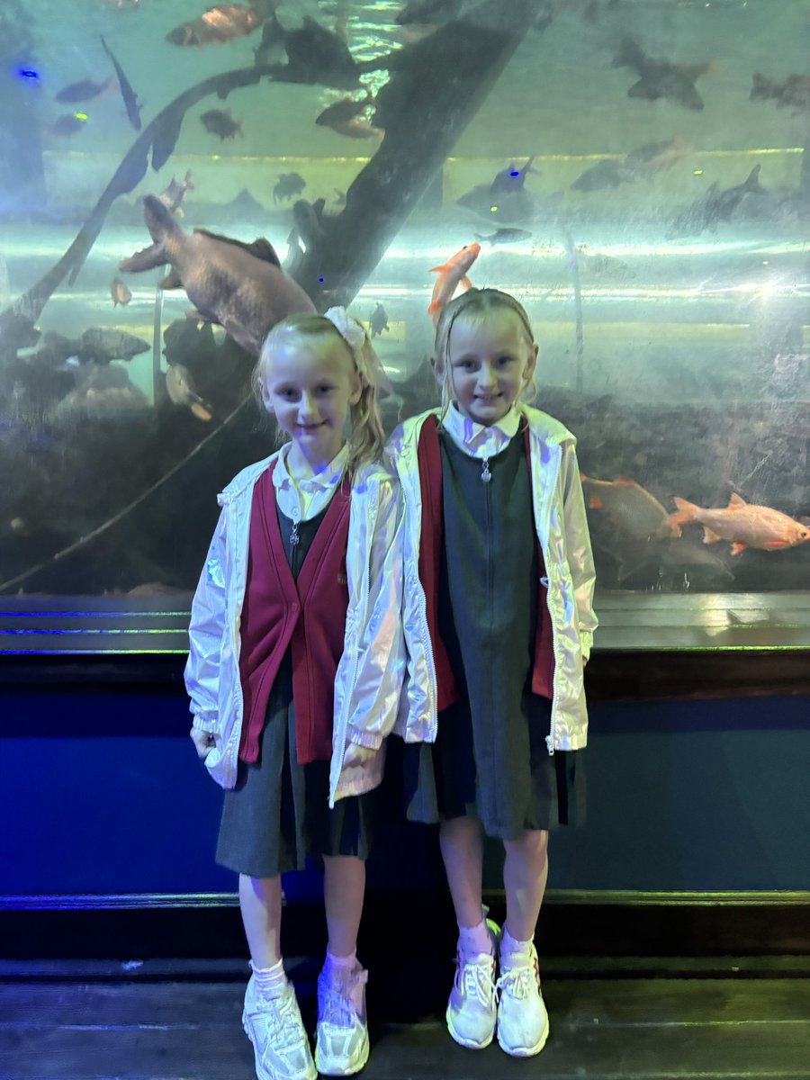 Y2HAS's tweet photo. The aquarium was fantastic! https://t.co/TyAPjq23c6