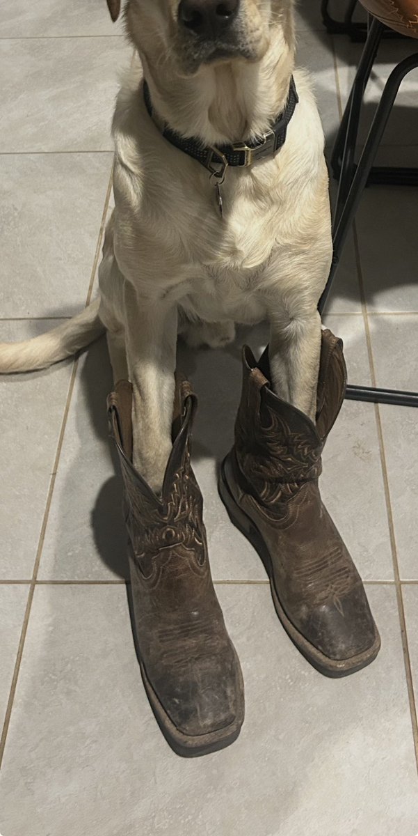 Hamchecjonny's tweet photo. @ETHANETTAYLOR We might have the same boots https://t.co/p7Igll4ogk