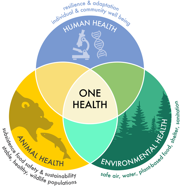 lovaltech's tweet photo. Why do we talk about global health (#OneHealth)? 
🦠+🌱+👤

Because 75% of emerging human diseases originate in animals. Anticipating tomorrow’s needs requires looking at the living world as a whole. 

This is Lovaltech’s scientific compass. 🚀

#Biotech #Prevention #EcoHealth https://t.co/ShqwEOSy7C