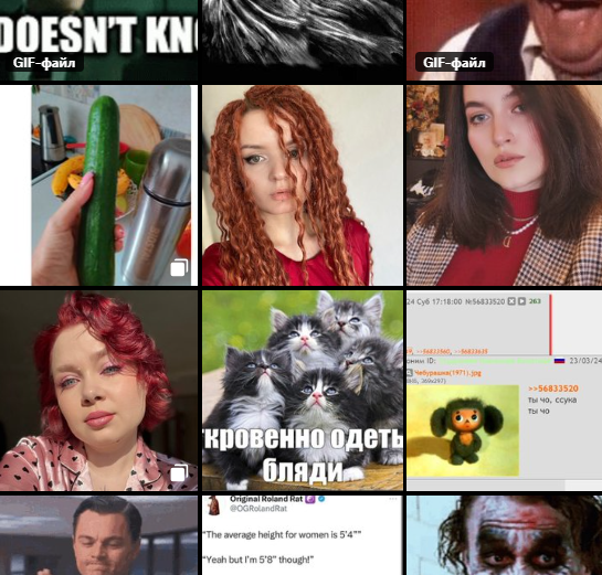 макс атаракс tweet media