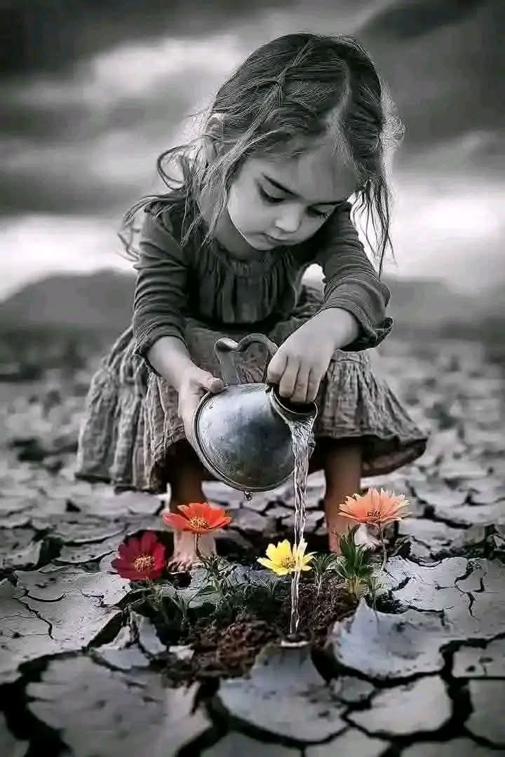 🍁سانولی لڑکی🍁 tweet media