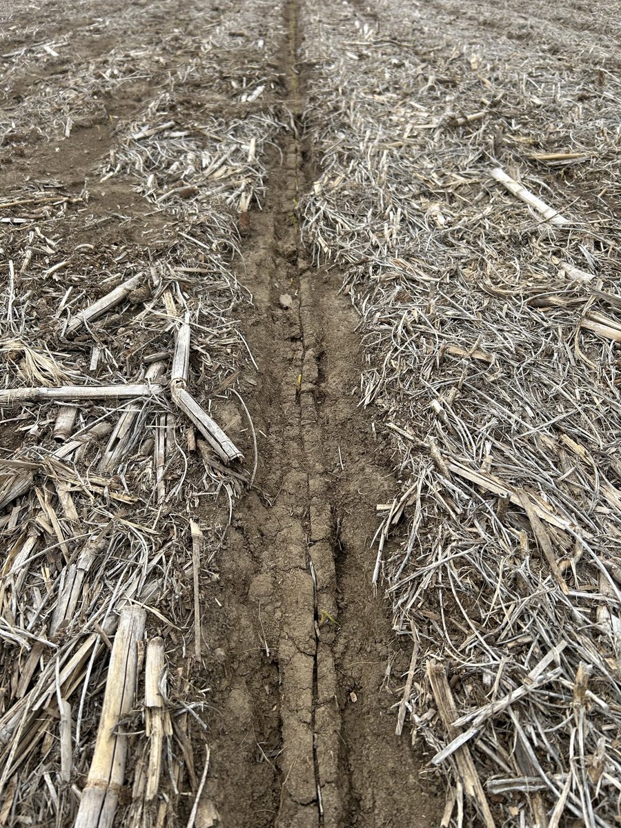 40Parks's tweet photo. I’ve generally heard good things about FurrowForce but yesterday was the first time I talked to a grower ready to rip them off. 

No till, east central Nebraska hills after some really hard rains. 

To be fair, most fields in this area looked like this, regardless of closing syst https://t.co/EcnuwlwdxP