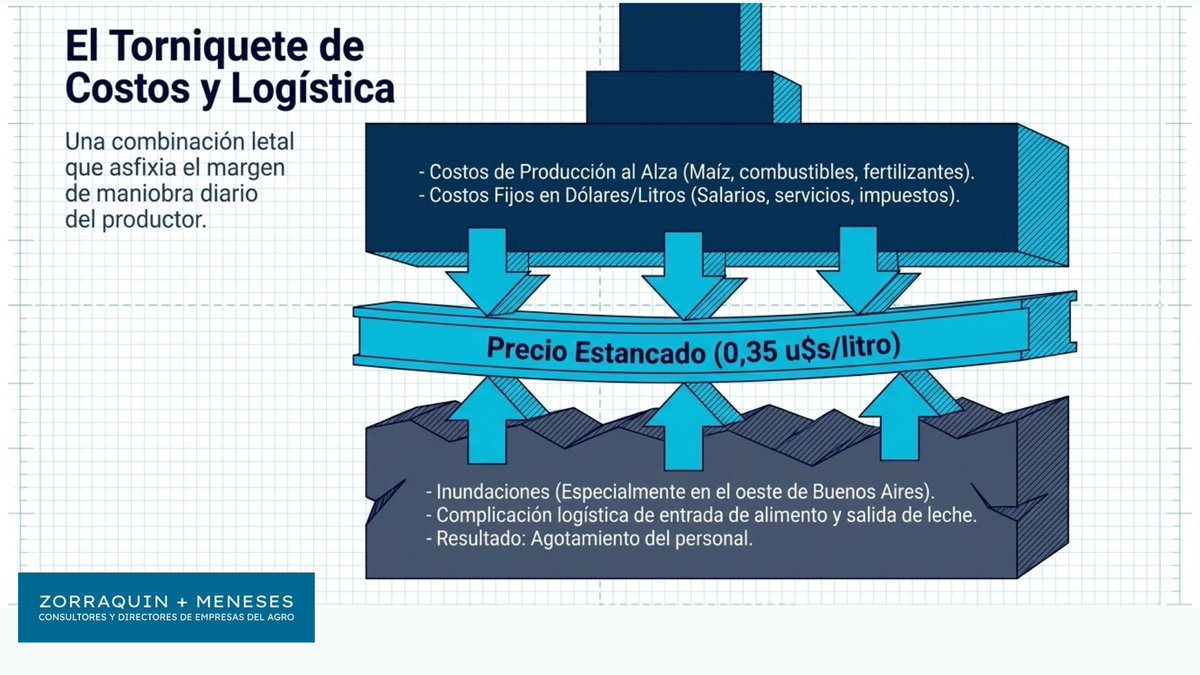 Teo Zorraquin tweet media