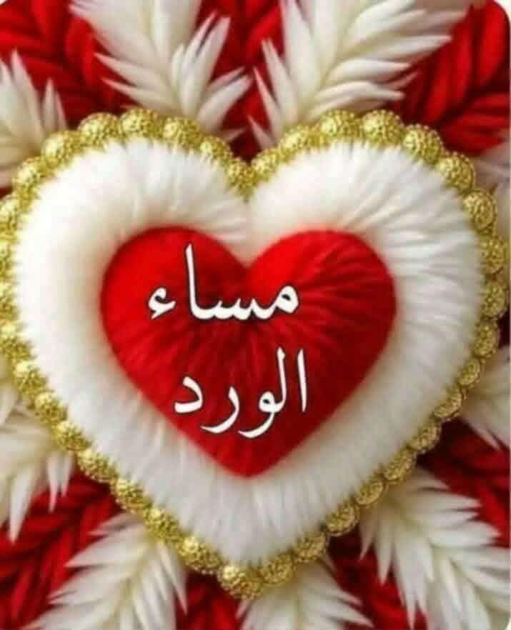 حنان يوسف tweet media