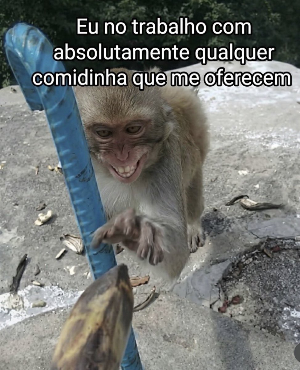 Pagina lixo tweet media