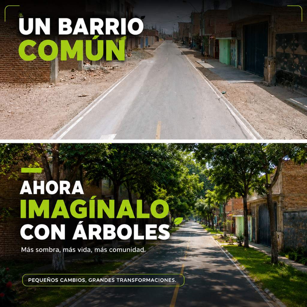 EcoInventos's tweet photo. Pequeños cambios > grandes transformaciones 👉👌 https://t.co/IBvAXJYtop