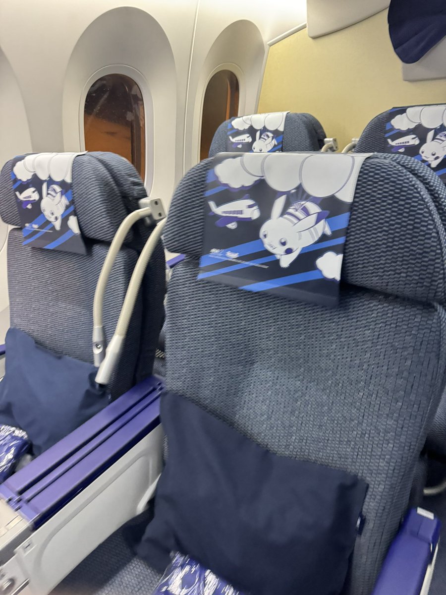 _bluejet_'s tweet photo. What a way to fly to Tokyo Gofest than flying ANA pikachu jet. https://t.co/C2fmxcgYxE