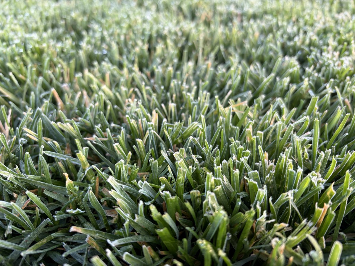 LHCC Grounds tweet media