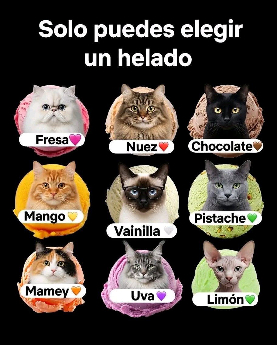Tio Felino (Leo) tweet media