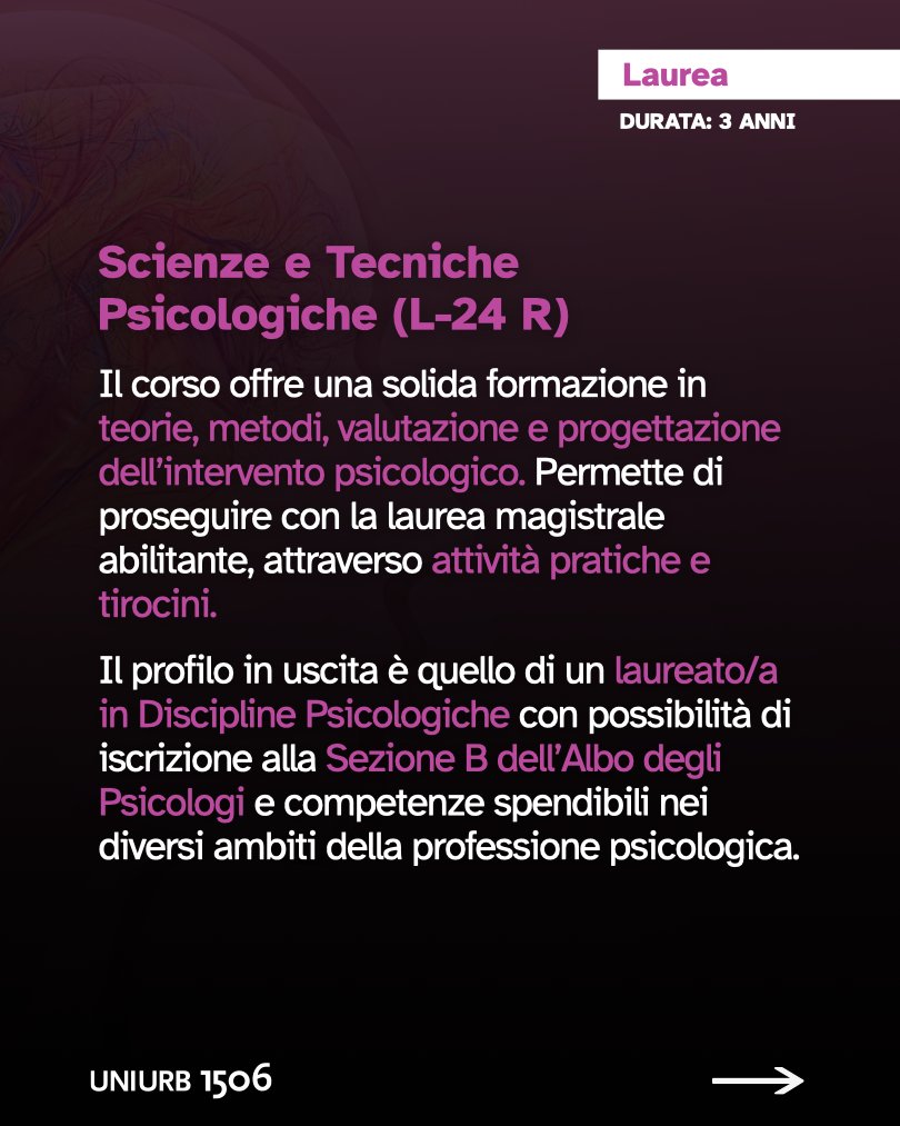Università di Urbino tweet media