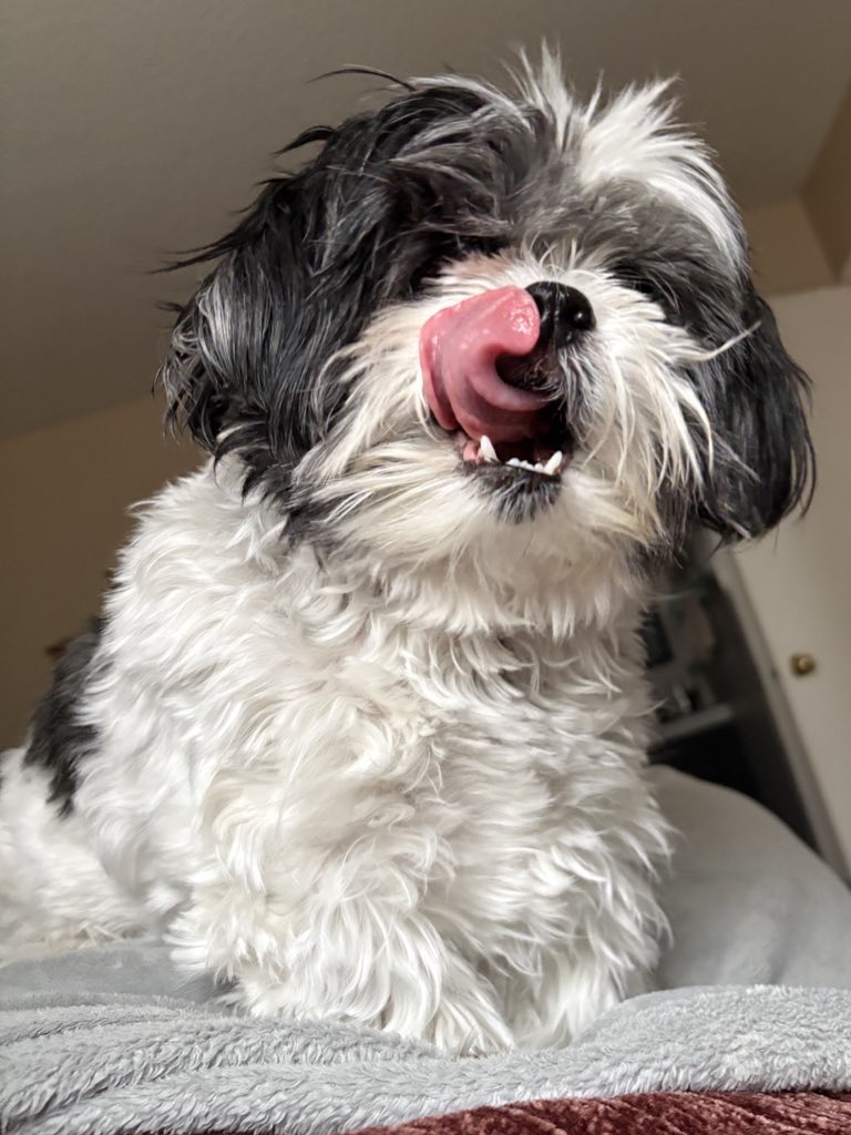 Penny Lane 🦩 tweet media