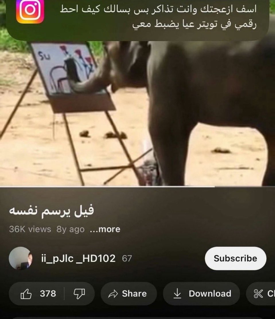 Ali S tweet media