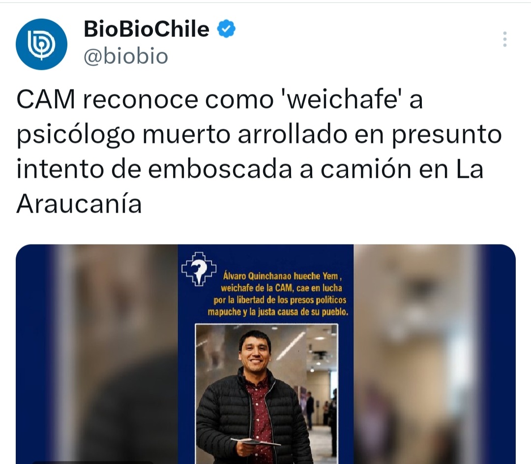 Pachi⚡ tweet media