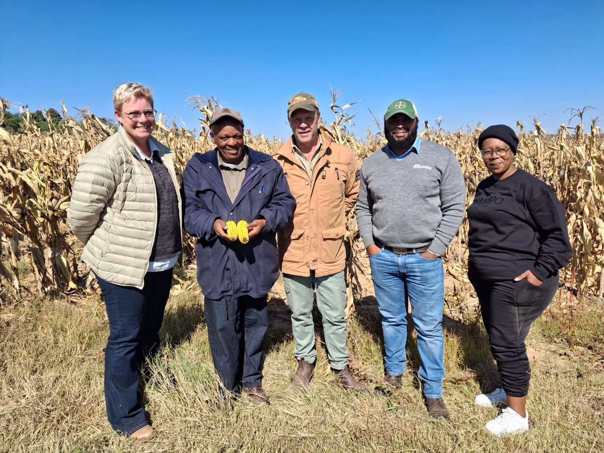 gsafarmerdev's tweet photo. Today marked the conclusion of the final rounds of the 2026 PGP Farmer of the Year Competition evaluations across Mpumalanga, KwaZulu-Natal, Northwest and the Free State. 

This competition celebrates farmers whose work continues to strengthen agriculture and food security in South Africa.

Thank you to @Bayer4Crops for their continued support in empowering farmers and driving real impact. 🚜🌱

#PGPFarmerOfTheYear2026 #PGP #Agriculture