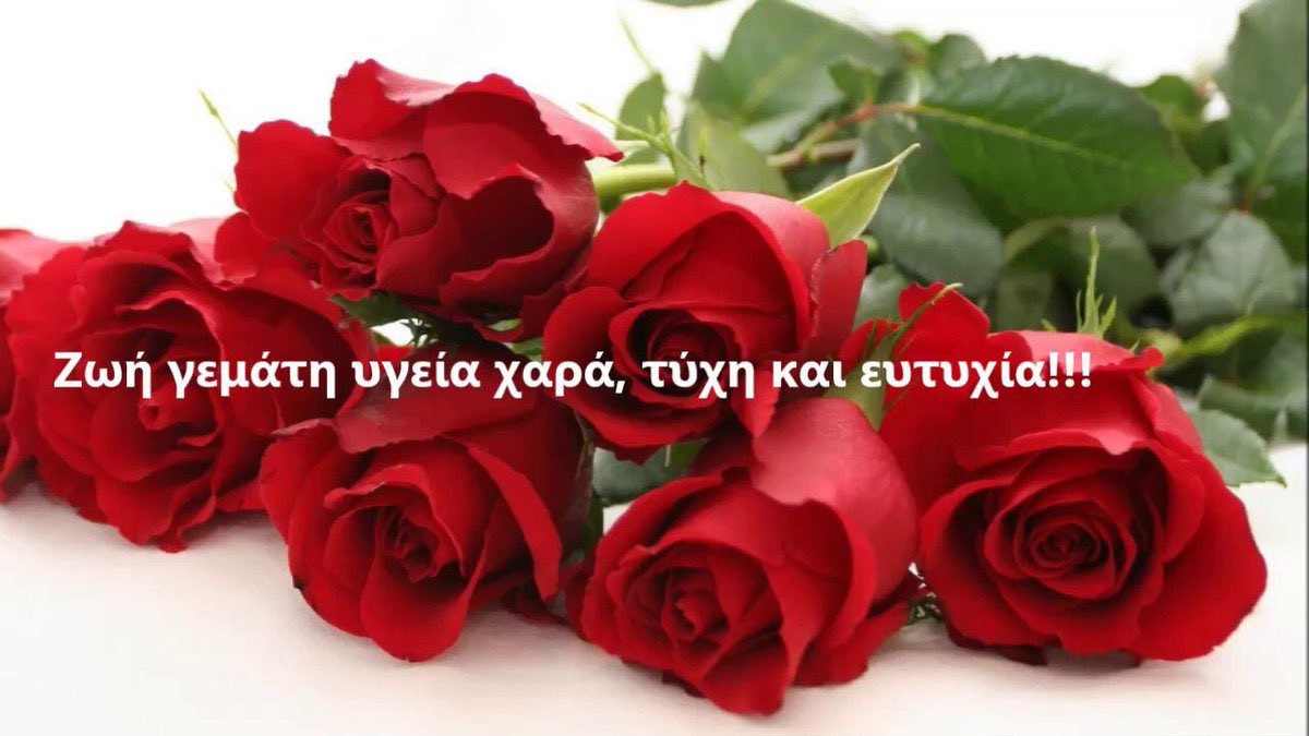 Red Rose tweet media
