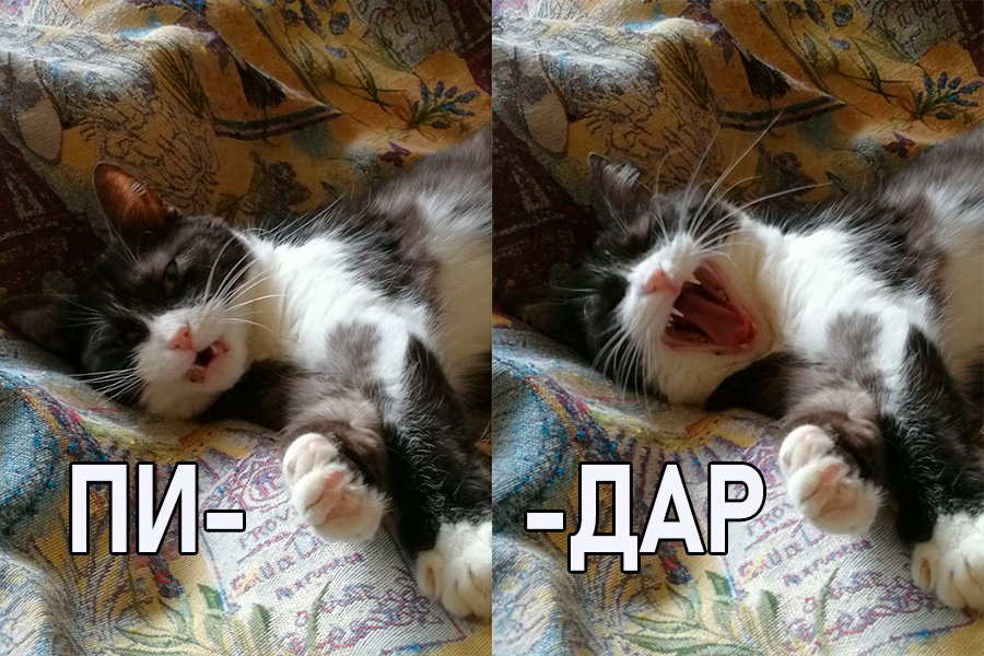 Владимир Королёв tweet media