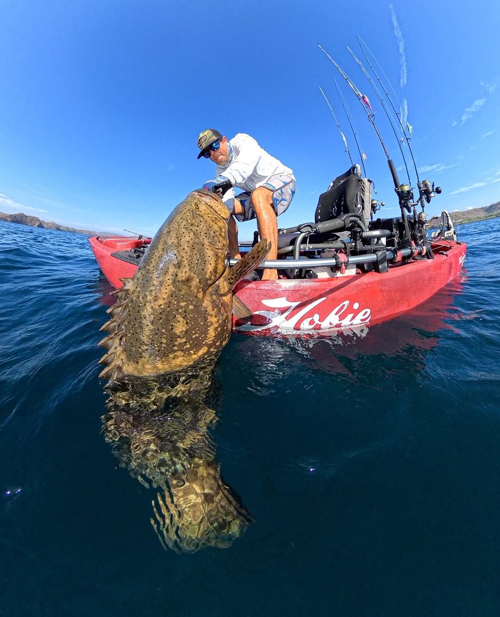 Fishing Niche tweet media