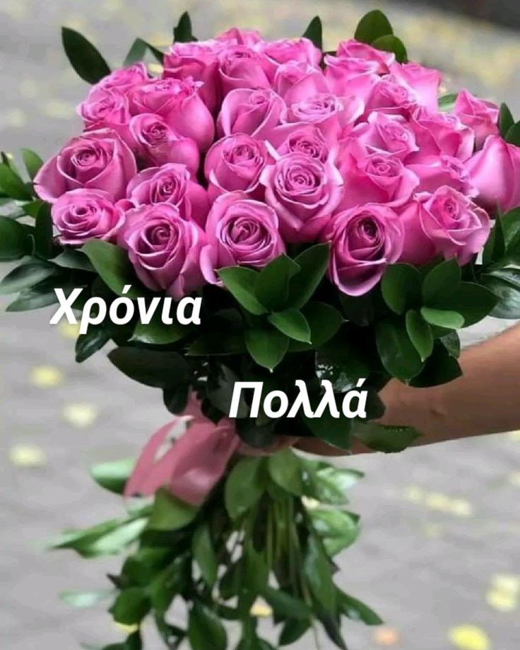Red Rose tweet media