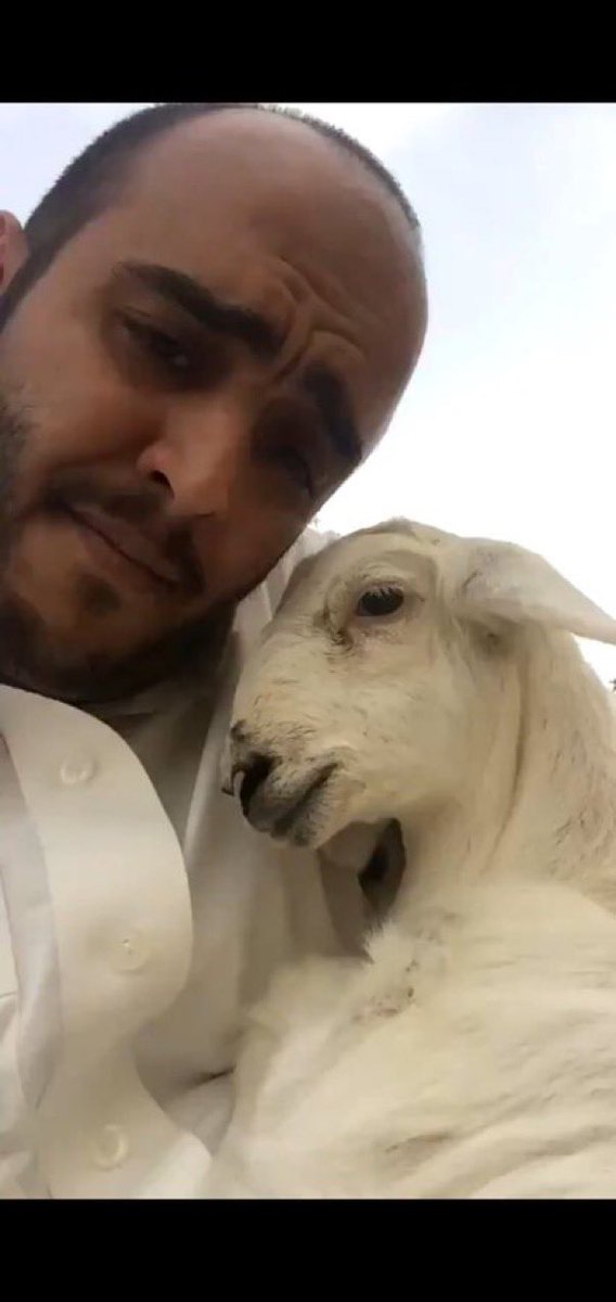 زيزو الملكي النخبوي⭐️⭐️💚💚 tweet media