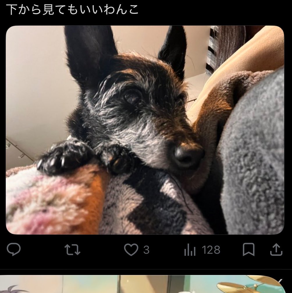 ぺふ tweet media