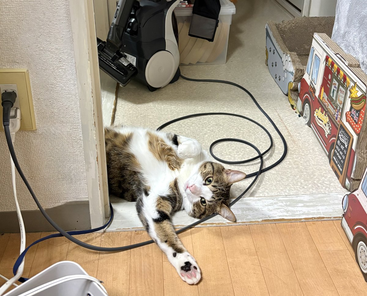 ゆーきん@釣りをする人 tweet media