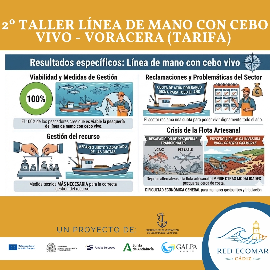 fecopesca's tweet photo. 🟡RED ECOMAR CÁDIZ | Línea de mano con cebo vivo

🎣 El sector considera viable esta pesquería y reclama una gestión adaptada, con reparto justo de cuotas y una cuota de atún que garantice actividad anual. También preocupa el impacto del alga invasora y la pérdida de pesquerías. https://t.co/25R7YLORjf